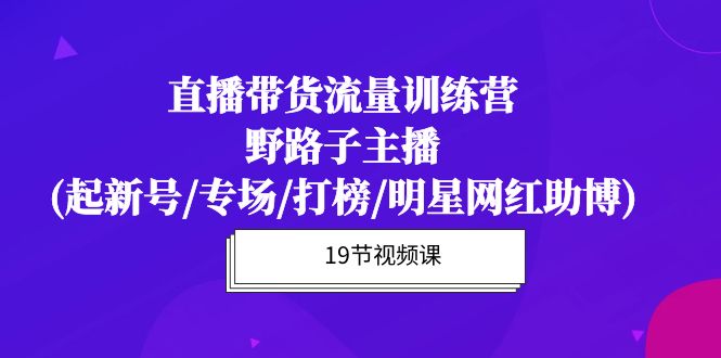 （10016期）直播卖货总流量夏令营，歪门邪道网络主播(起小号/盛典/冲榜/明星网红助博)19堂课