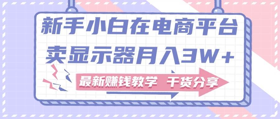 新手小白如何做到在电商平台卖显示器月入3W+，最新赚钱教学干货分享