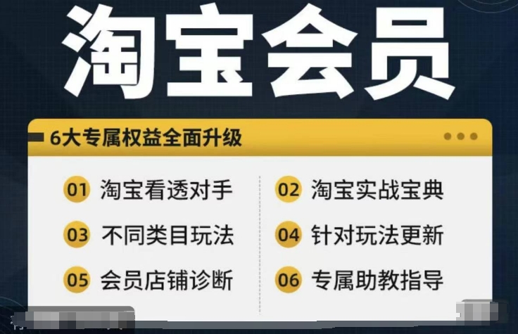 淘宝会员【淘宝网全部课程，深入分析敌人】，初中级到大神全系列实战演练秘笈