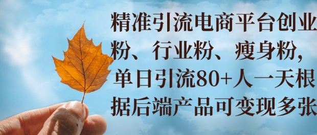 小投资撬动大收益，精准引流创业粉、行业粉，单日引流80+，一天可变现多张