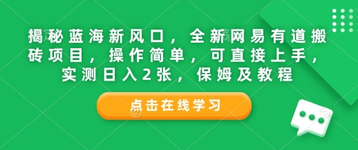 揭秘蓝海新风口，全新网易有道搬砖项目，操作简单，可直接上手，实测日入2张，保姆及教程