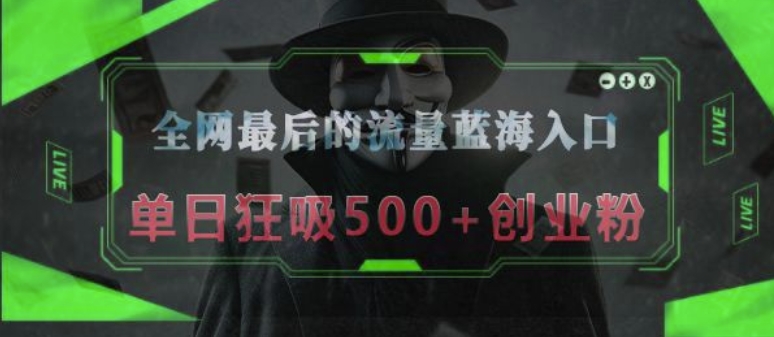 全网最后的流量蓝海入口，半小时引流50+创业粉，单日狂吸500+创业粉