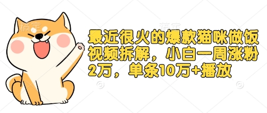 最近很火的爆款猫咪做饭视频拆解，小白一周涨粉2万，单条10万+播放(附保姆级教程)