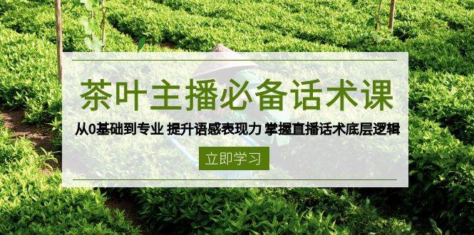 茶网络主播必不可少销售话术课 从0基本到专业 提高英语语感感染力 把握直播带货话术底层思维